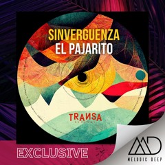 EXCLUSIVE: Sinvergüenza - El Pajarito (Original Mix) [TRANSA]