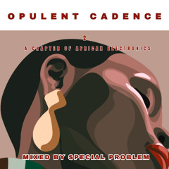 OPULENT CADENCE (Episode 2) Mixed By SPECIAL PROBLEM