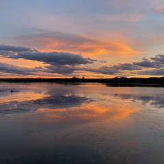 Keep Me From The Cold (demo)