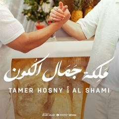 Maleket Gamal El Kon