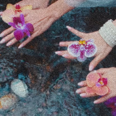 no na - shoot (NAJ Disko Cut)