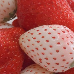 dessertcore