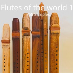 Flutes of the world 1 I Preview