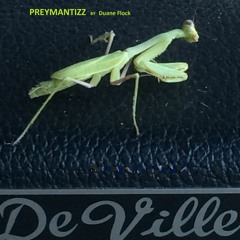 Preymantizz
