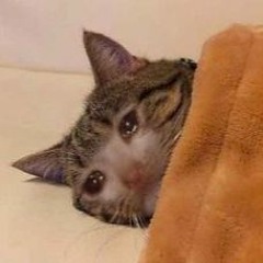 حسن - الاسمر - اشكي-