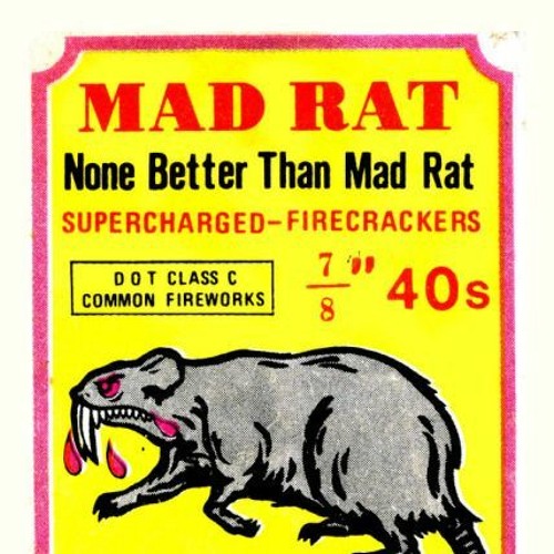 Stream RATS, cats & snakes by SlickGecko (JM) | Listen online for free ...