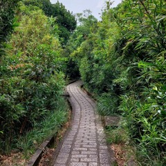 omafridas Summerhouse @ The Vibe