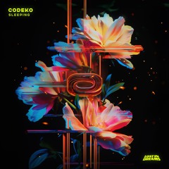 Codeko - Sleeping