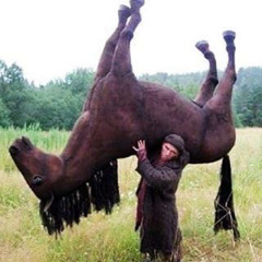 A TRIP TO THE HORSES - tturco ( schranz remix )