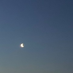 thoughts_of_a_sad_mind_II._too_much