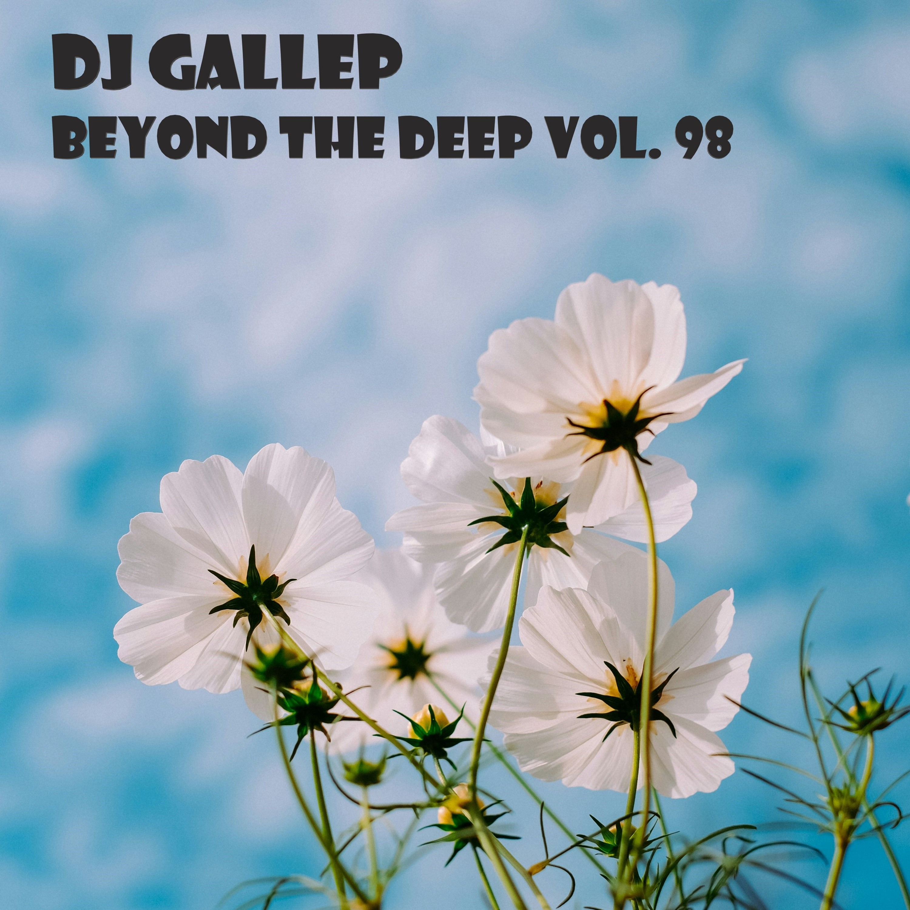 DJ Gallep - Beyond The Deep Vol 98 episode artwork