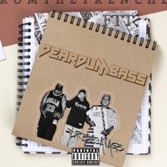 Dear Dumbass - DREW SAVAGE (From The Trenches Records)