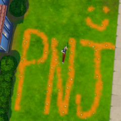 PNJ