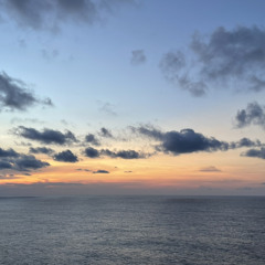 reverie - singalong / meredith sheldon