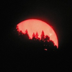 Present Tense - boredapple