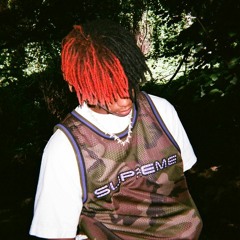 DC The Don - outlaw (og)