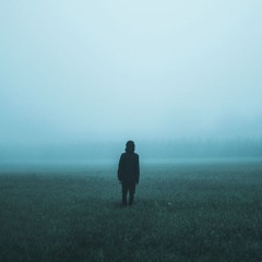 leapyear, Reapify - trembling