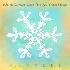 When Snowflakes Fell On Your Head