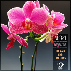RafleSTone - Epicenter (Original Mix)