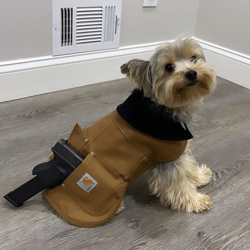 Nesse x Joey x Vize x Youknowthatido 💨💨