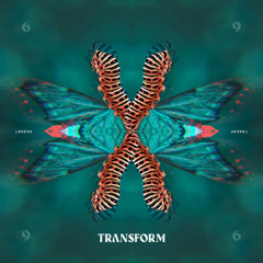TRANSFORM - Single
