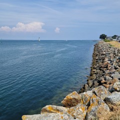 Magnolias for ever - CLAUDE FRANÇOIS