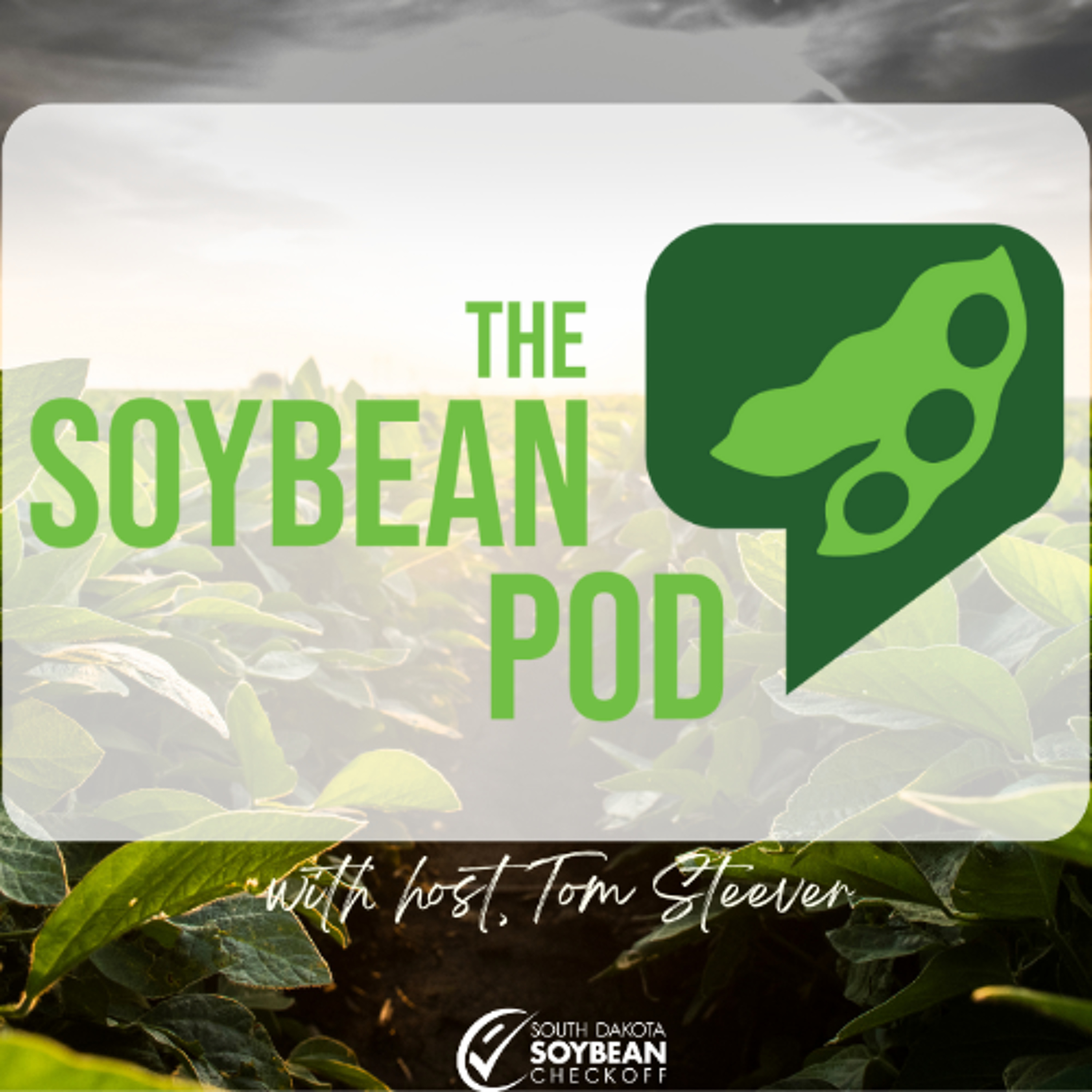 Mike McCrainie and the benefits of Northern-Grown Soybeans episode artwork