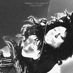 LADY GAGA - PERFECT CELEBRITY (CARTHO REMIX)