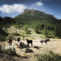 Escampa
