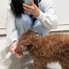 솔직하게 말해서 나