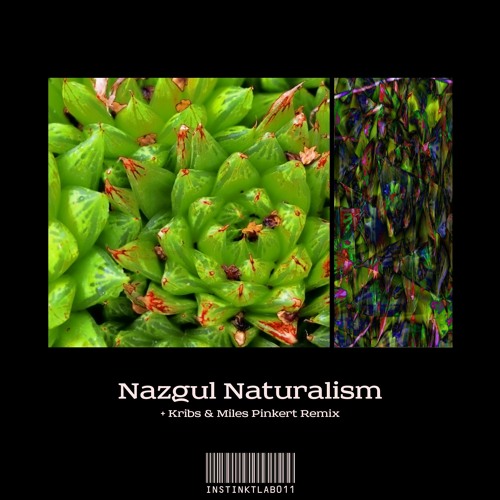 Snippets: INSTINKTLAB011 | Nazgul Naturalism