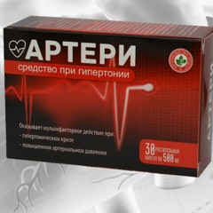 Artery Kazakhstan