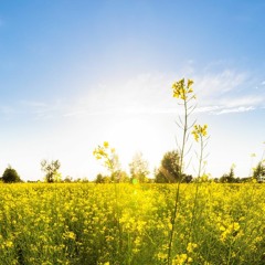Spring Mix 2021