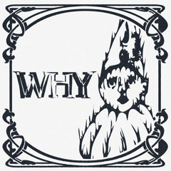 Why (feat. Anitamix)