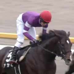 Plazma horse(UDKM Asahi VIP)
