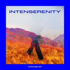 Intenserenity