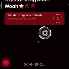 TripStar X Big Scarr - seminar Unreleased Snippet