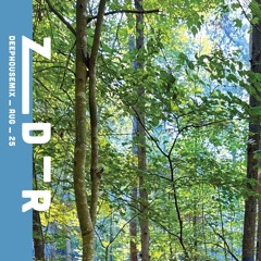 deephousemix_aug_25 | z___d_r