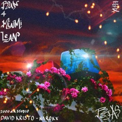 Rojas.exe - RUN4MIAMILEAN