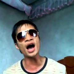 Mèo hoang