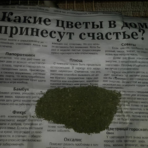 Vnuk - Планета PA