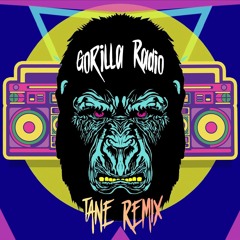 Guerrilla Radio (T A N E Remix)