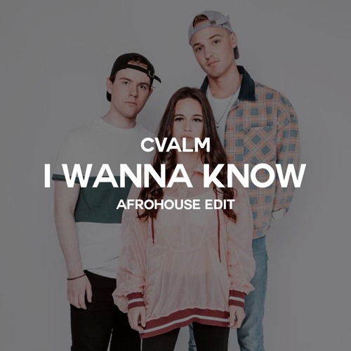 Bea Miller & NOTD - I wanna know (CVALM Afrohouse edit)