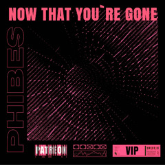 Phibes - Now That Your Gone VIP [PATREON EXCLUSIVE]
