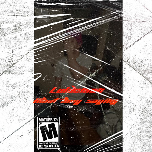 What they saying-luldemon