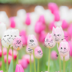 Flower Society
