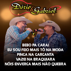 Bebo Pa Carai / Eu Sou Feio Mais Tô na Moda / Pinga na Garganta / Vazei na Braquiara / Nóis Enverga Mais Não Quebra (Cover)