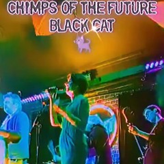 BLACK CAT live at The Ferret #PRESTON
