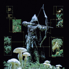 SENTINEL