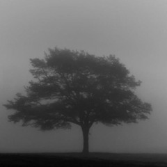 stryrofoam.m4a prod. me